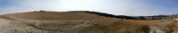BUFFALO