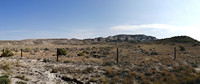 BUFFALO