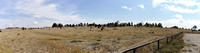 LARAMIE