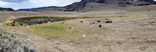 YELLOWSTONE