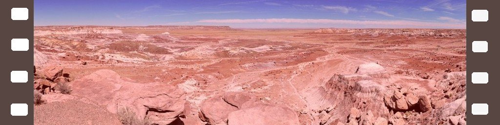 PETRIFIED FOREST